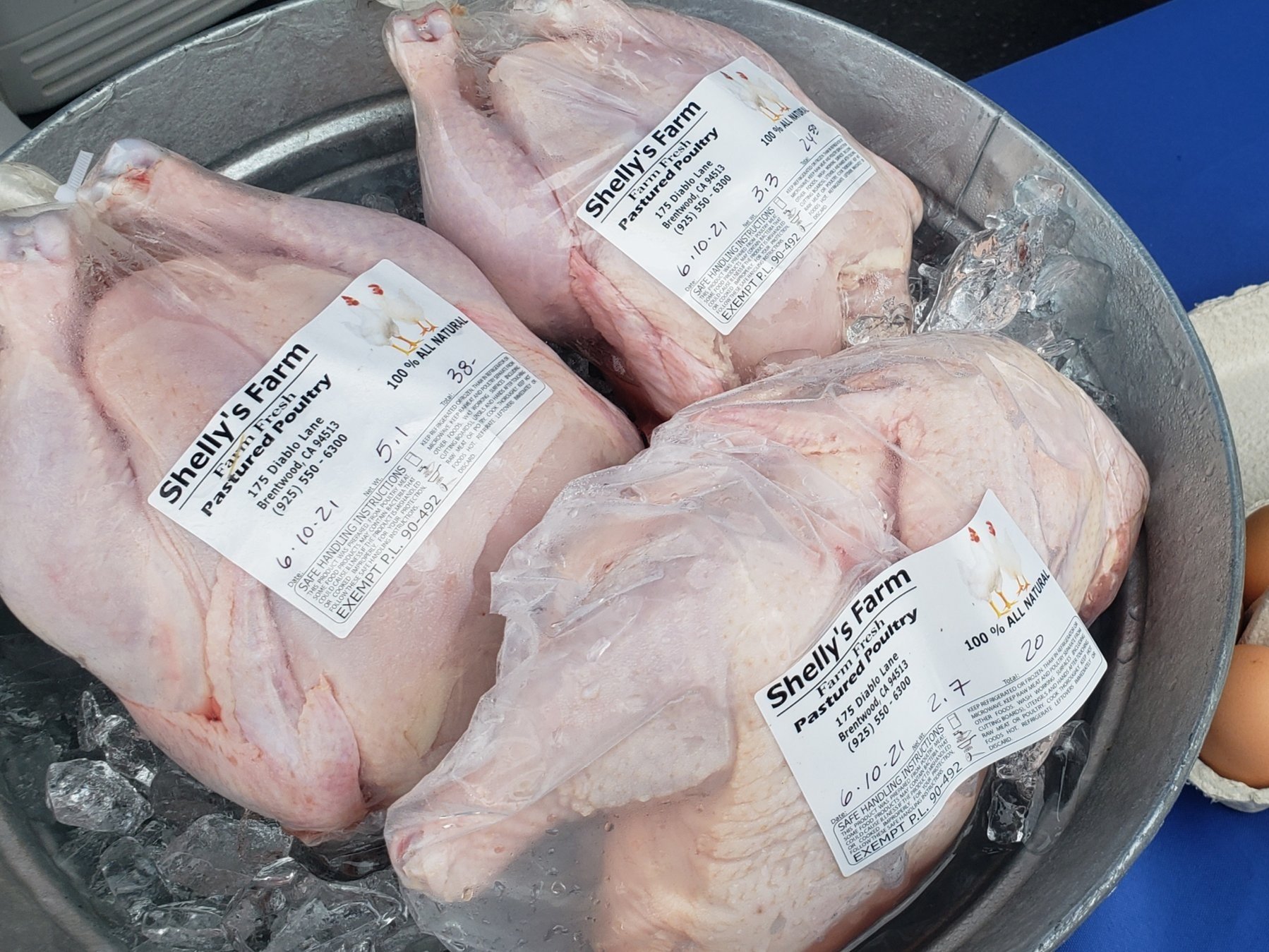 Shelly's+Farm+-+20210613_090640 Fresh whole chickens from Shelly's Farm, labeled as pasture-raised poultry, displayed on ice in a metal container. Each chicken is packaged with clear labels indicating weight and pricing, showcasing natural and high-quality meat options.
